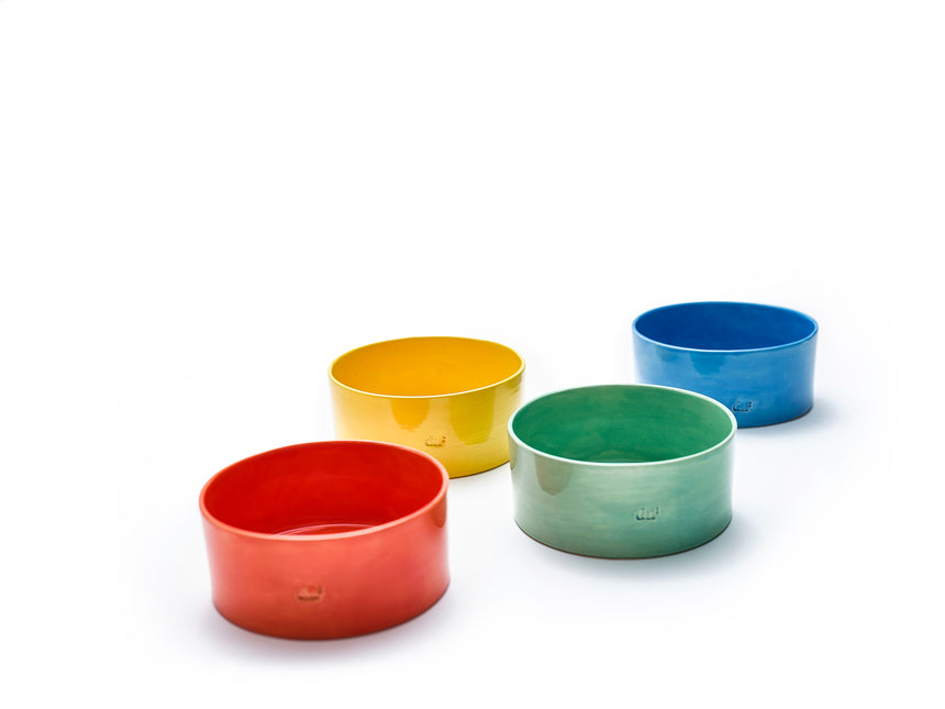Colorful ceramic dog bowls