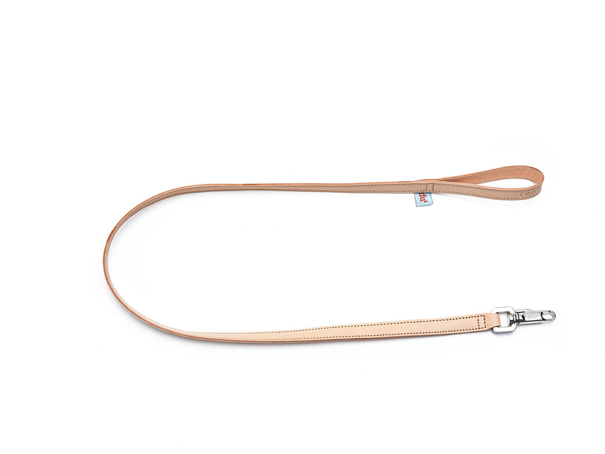 leather-leash