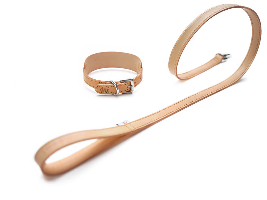 leather-leash-with-collar