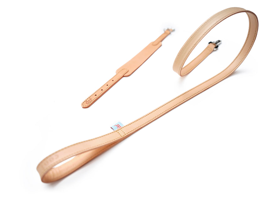 leather-leash-with-collar
