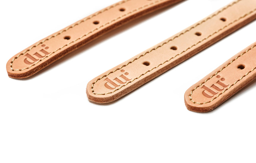 dog-collar-detail